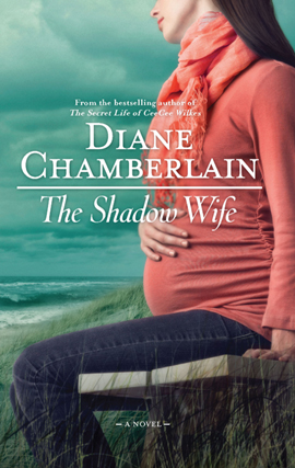 Title details for The Shadow Wife by Diane Chamberlain - Wait list